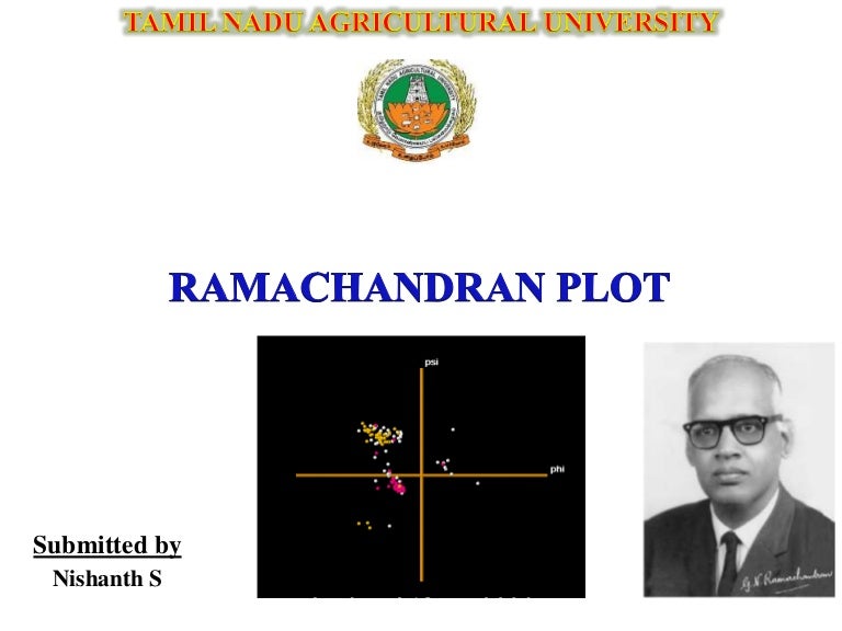 Ramachandran Plot