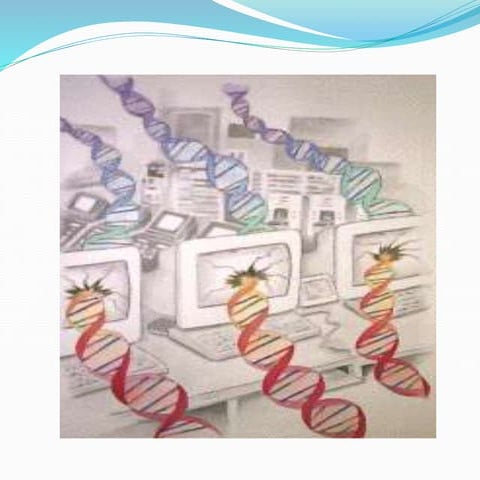 Main  bioinfomatics alignment tools.pptx