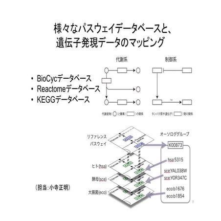 生命化学情報学３
