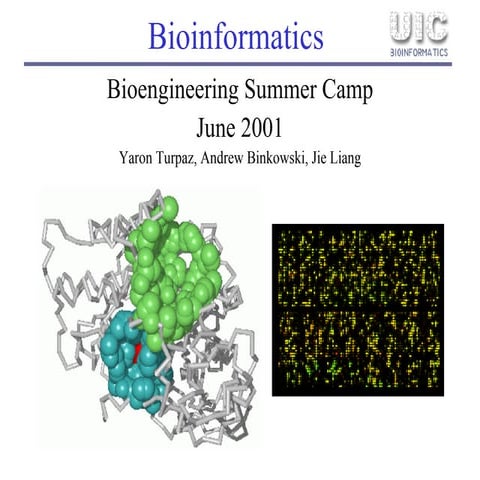 Bioinformatics