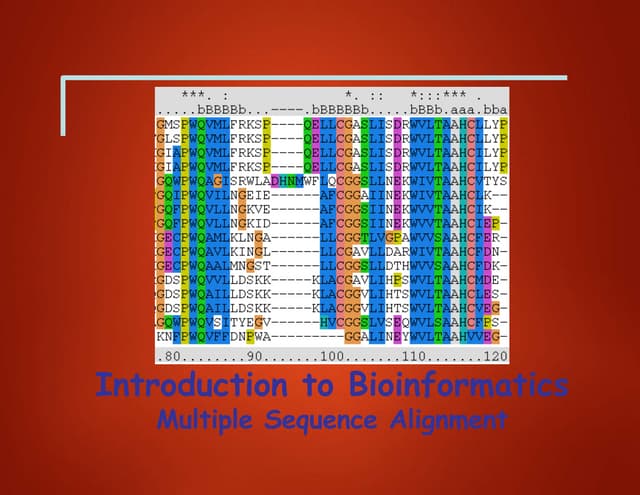 Bioinformatics lesson