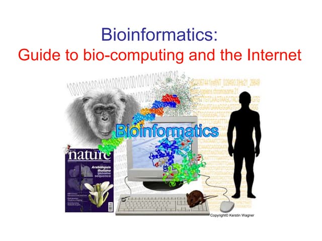 Bioinformatics_1_ChenS.pptx