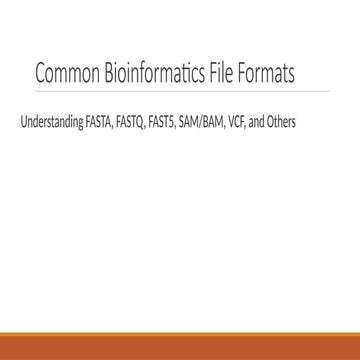 Comprehensive Guide to Common Bioinformatics File Formats and Their ...