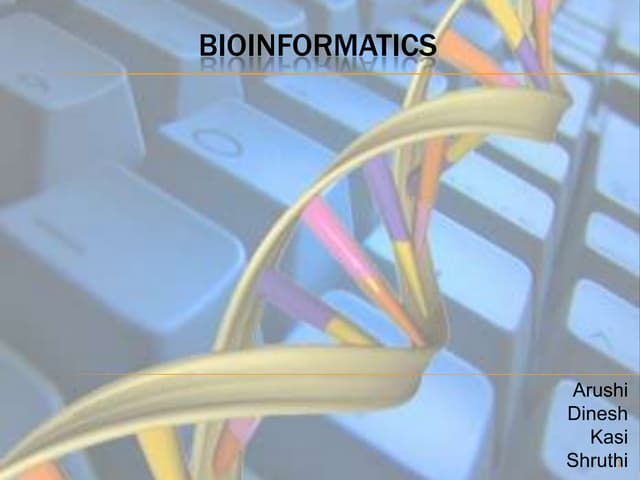 Bioinformatics Final Presentation