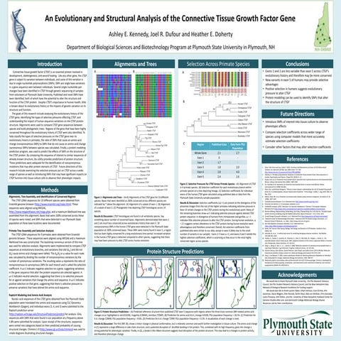 An Evolutionary and Structural Analysis of the Connective Tissue Growth Facto...