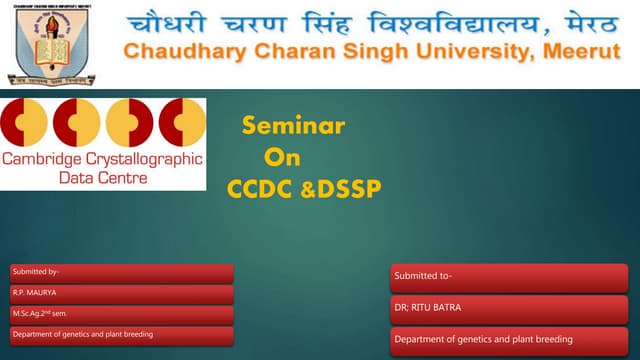 R.P Maurya ppt  on C C D C & DSSP(Bioinformatics)