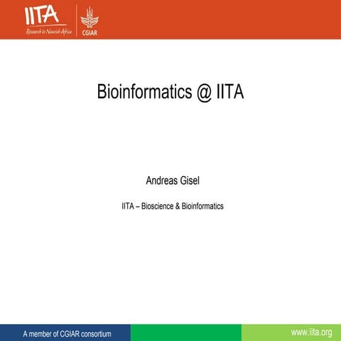 Bioinformatics at IITA