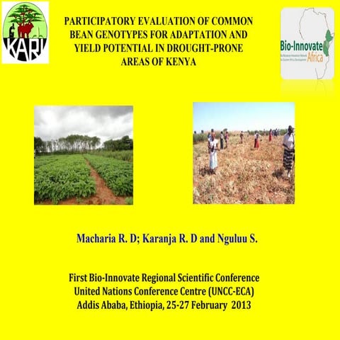 Participatory evaluation of common bean genotypes for adaptation and yield po...