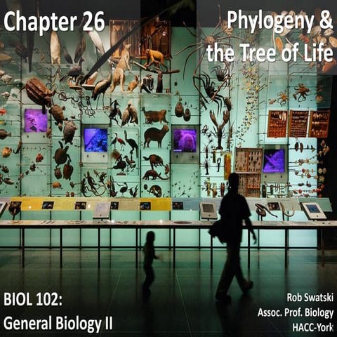 Biol102 chp26-pp-spr10-100312094514-phpapp02