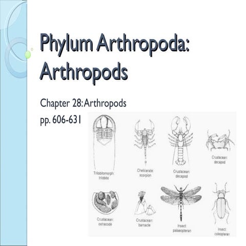 Biol 11 Lesson 1 April 5  - Arthropoda (1)