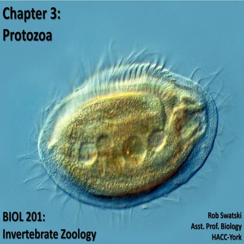 Biol201 chp3-pp-spr11-110205111142-phpapp01