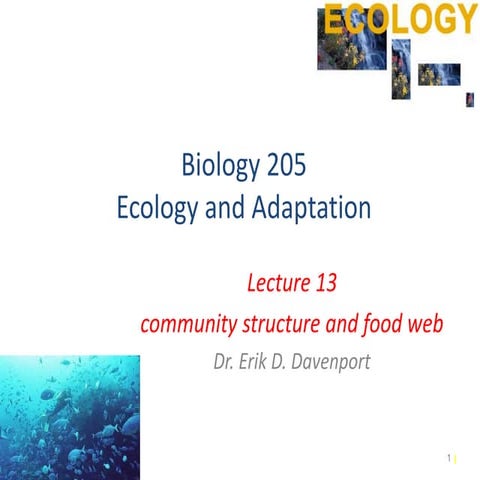 community structure and food web