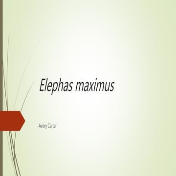 Biol 3410   tr 0800 - vertebrate zoology 