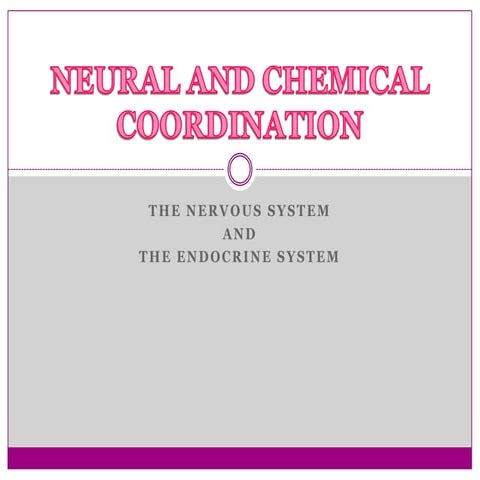 Neural and Chemical Coordination