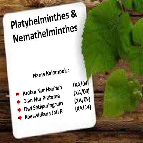 Bioligi Nemathelmintes & Platythelmintes