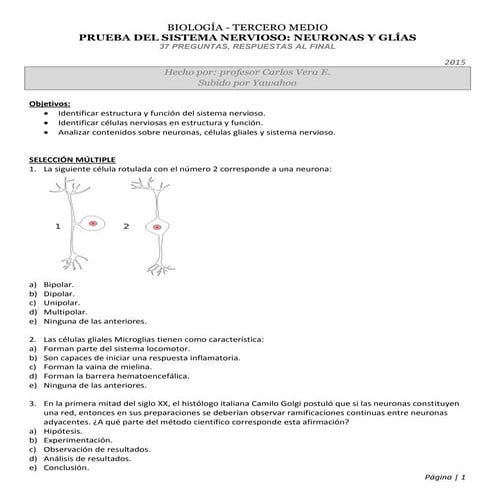 Biología 3° medio - Prueba de Sistema Nervioso: Neuronas y Glías