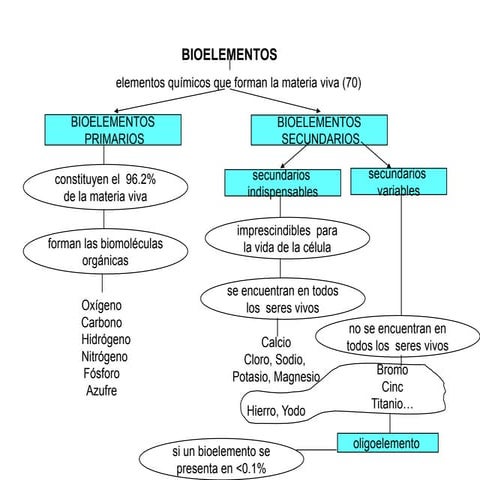 Tema 1:Bioelementos y biomoléculas | PPTX