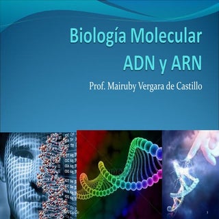 Biología molecular 97 2003