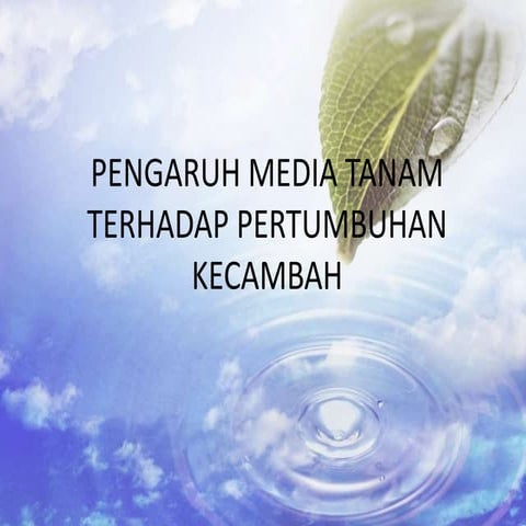 Pengaruh Media Tanam terhadap Pertumbuhan Kecambah