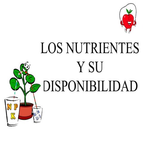 fijacion de nitrogeno