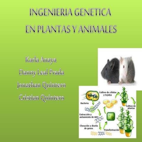 Ingeniería genética  