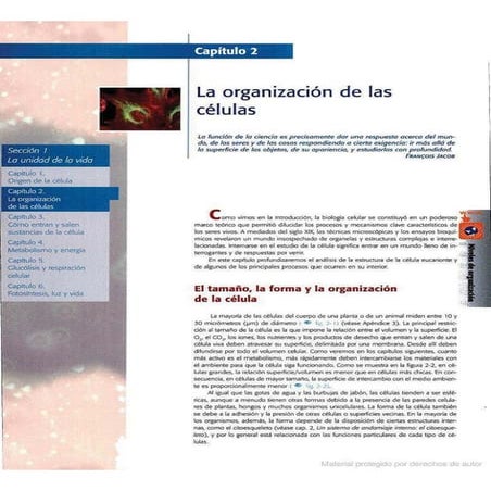  Biologia-7ma-ed-cap-2