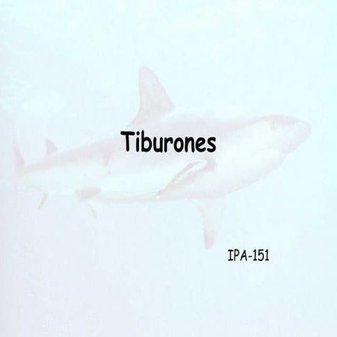biologia de tiburones
