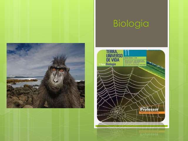 Biologia 11   diversidade de estrat...