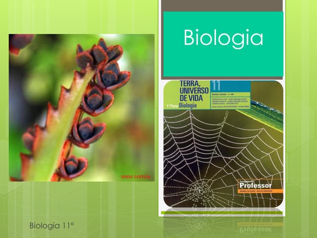 Biologia 11   reprodução assexuada