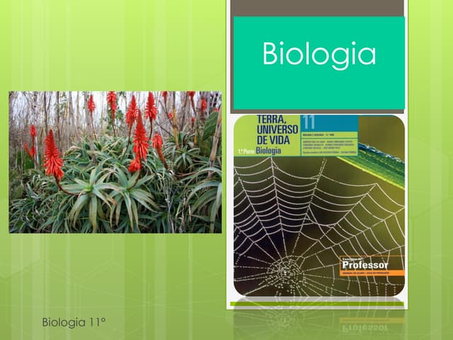 Biologia 11   reprodução sexuada
