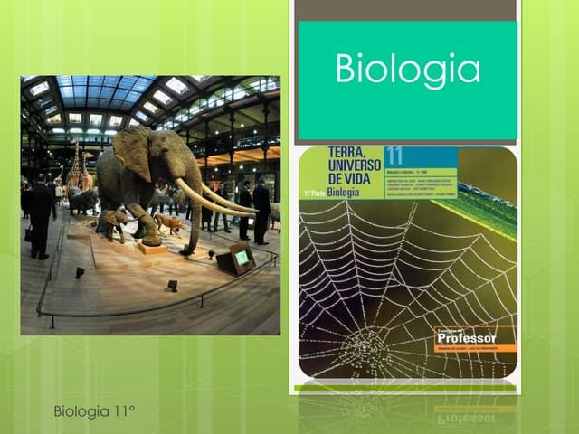 Biologia 11   sistemas de classific...