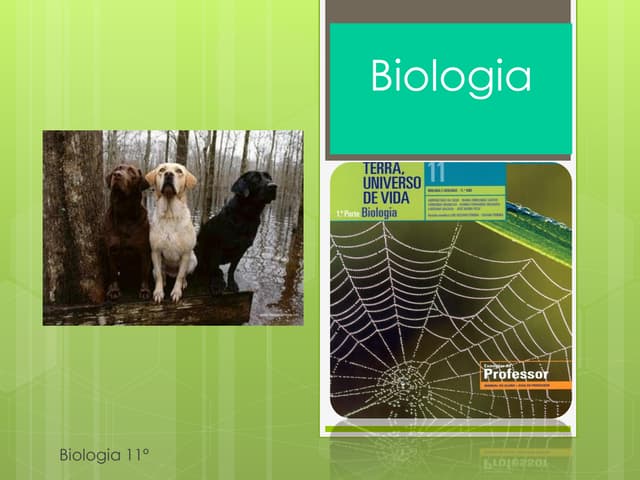 Biologia 11   síntese proteica