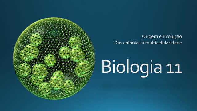 Biologia 11 (origem e evolução   co...