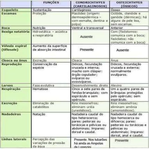 Biologia 1 de vera unidade iii
