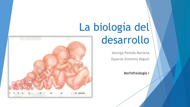 Biología del desarrollo