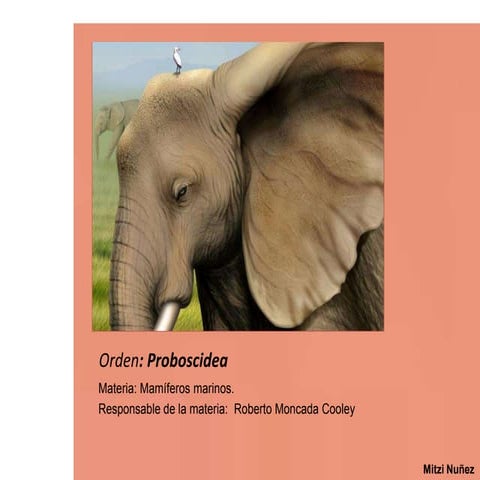 Biologia de proboscidea