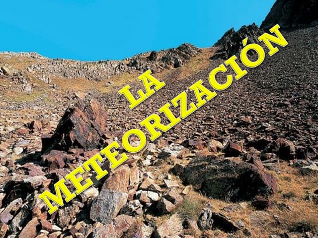 Biologia marcos