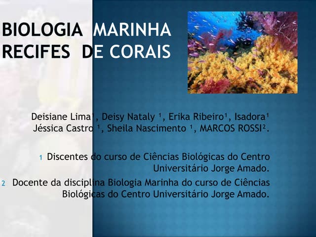 Biologia marinha - recife de corais