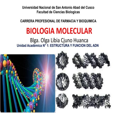Biologia molecular reparac