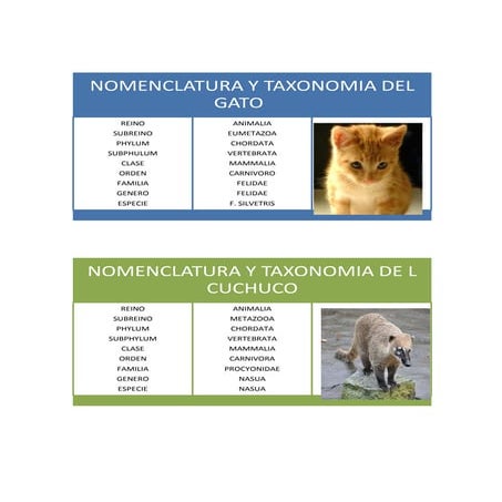 Biologia taxonomia