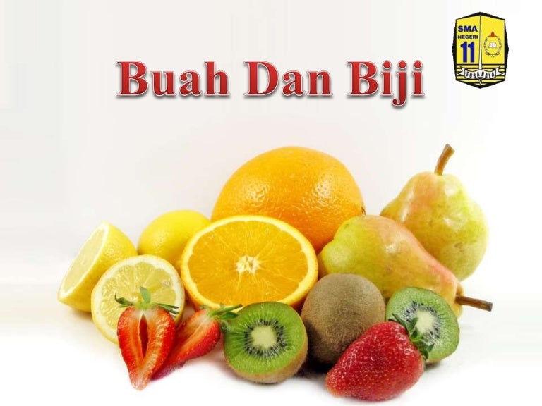 Materi Biologi Buah Dan Biji Materi Biologi Buah Dan Biji