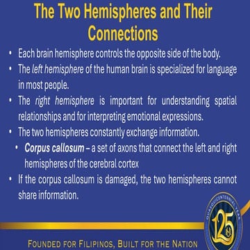 Biological-Bases-of-Behavior-Split-Brain.pdf