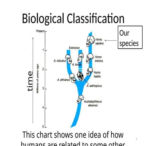 Biological-Classification.pptx powerpoint on