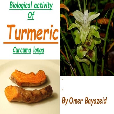 Turmeric presentation | PDF