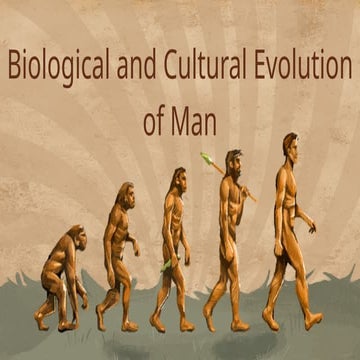 7 stages of human evolution by Jhairra Vel J. Lopez and Simone ...