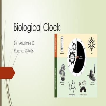 Understanding the Plant Biological Clock: Mechanisms and Functions | PPTX