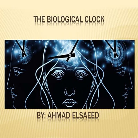 Biological clock