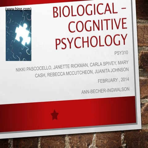 Biological Cognitive Psychology Pesentation 