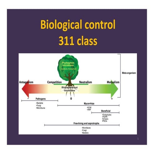 Biological Control: A Natural Approach to Pest Management