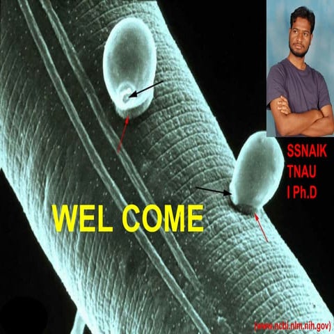 BIOLOGICAL CONTROL OF NEMATODES-SSNAIK TNAU